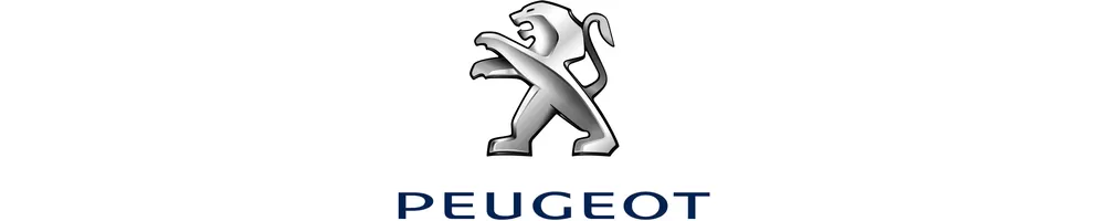Peugeot car audio hifi kopen